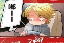 亞瑟太逗了！自己靠左行駛，還說別人超過100輛車在逆行！-頭條楓林網