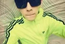 主人：「我家的二哈不是普通的二哈，它從來不拆家！」網友:嗯，不拆家也是純種的二哈-頭條楓林網