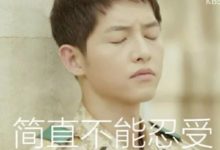 狗狗的夏季煩惱，你家狗狗中了幾個？-頭條楓林網