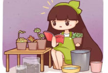 多肉葉子乾成皮？ 恭喜你，養成多肉老樁啦！-頭條楓林網