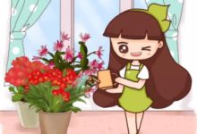 夏天亂澆水,月季多肉…澆一盆死一盆!-頭條楓林網