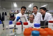 中國研究者利用“圖靈結構”開發出高效淨水薄膜-頭條楓林網