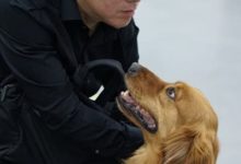 知名盲人歌手帶導盲犬，入住上海高級酒店被拒：被當寵物犬-頭條楓林網