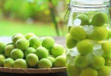 ２分鐘學會自己做「梅酒」，酸酸甜甜好滋味-頭條楓林網