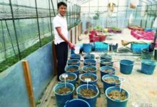 東盟科研工作者：“我們與‘傑青計劃’的中國故事”-頭條楓林網