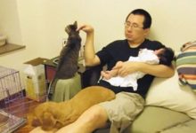 爸爸曬十年間與女兒和寵物合影，網友：時間都去哪了？-頭條楓林網