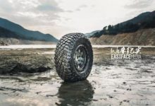 它在泥地裡翻滾了十年-頭條楓林網