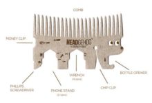 一專多能的迷你刺蝟先生-頭條楓林網