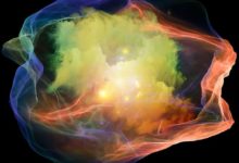 永生不再是夢？新研究讓豬腦離開活體存活36小時-頭條楓林網