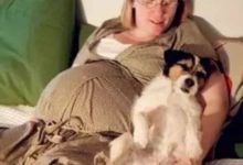 懷孕真的不能養狗嗎？看完這篇就知道答案了……-頭條楓林網