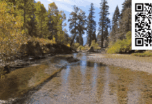 華景招聘使用者體驗分析師啦！-頭條楓林網