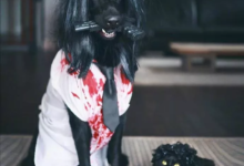 養黑貓和黑狗是怎麼樣的體驗？太帥了-頭條楓林網