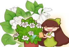 梔子夏天長最快，這麼養10天就爆滿盆，黃葉全沒了！-頭條楓林網