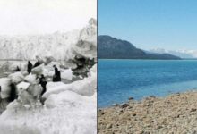 全球到底是變暖OR變冷，美國最具有發言權！-頭條楓林網