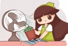 這8種多肉，天一熱就死，只剩空盆了！-頭條楓林網