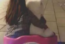 女主摟著薩摩耶坐碰碰車，狗子渾身拘謹的手抓方向盤，憨傻憨傻的-頭條楓林網