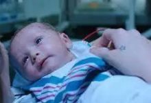 想到火星生娃？先重新設計自己的DNA吧-頭條楓林網