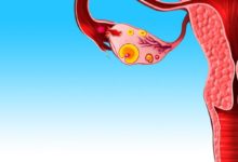 不孕不育真正的福音——小鼠在移植了3D列印的卵巢後成功分娩-頭條楓林網