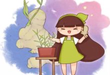 夏天吃塊姜，賽過喝補藥！ 丟盆裡就能長，一小塊能收10斤！-頭條楓林網