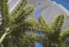 邁阿密頂層公寓836㎡樣板房，美哭！極簡建築竟可以這麼酷~【看見設計56】-頭條楓林網