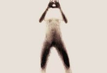 人體剪影藝術 顛覆你的想像-頭條楓林網