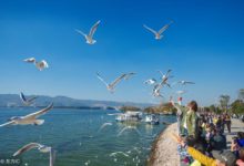 雲南最宜居的2個城市，麗江沒有上榜，你認可嗎？-頭條楓林網