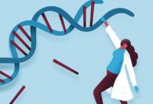 華為高效能儲存解決基因測序資料處理難題-頭條楓林網