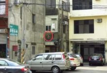 網友帶狗出門散步時發現驚喜一幕，電線上怎麼長出一隻柴犬？-頭條楓林網