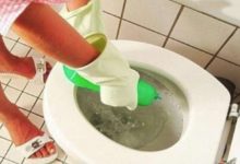 太實用了！ 馬桶黃尿垢太髒太臭！ 老保姆教我一經驗妙招， 馬桶瞬間乾凈無味！-頭條楓林網