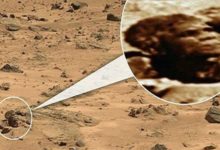 火星上有水已經不算稀奇，探測器又發現了代表物種文明的新東西！-頭條楓林網