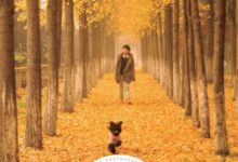 鏟屎官不會拍照？手把手教你玩轉萌寵攝影-頭條楓林網