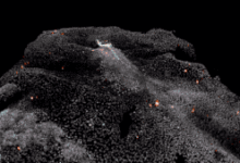 “人雞胚胎”破解生命起源奧祕，首次證實“組織者”存在於人體-頭條楓林網