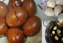 大廚教你做鄉巴佬鹵蛋的四個絕招，用了20年的老方子，味道一絕-頭條楓林網