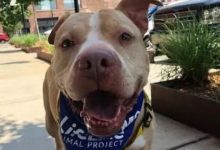 「你……可以給我一個家嗎？」-頭條楓林網