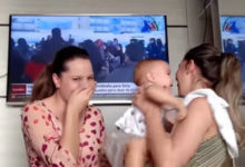 到底哪一個才是媽媽呀！我只要媽媽抱～-頭條楓林網