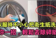 洗衣服時不小心把衛生紙洗了？ 教你一招，輕鬆去除碎紙屑-頭條楓林網