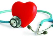 在菠菜上種出人體心臟，科學家簡直喪心病狂啊！-頭條楓林網