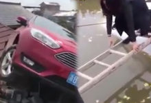 狂呀～這些妹子的駕照都是用雞腿換來的吧！-頭條楓林網