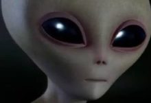 外星人可能是半機械化狀態？未來人類也將向此方向發展！-頭條楓林網