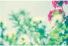 THREE‘520’| “不好意思，剛認識就喜歡你”-頭條楓林網