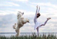 小女孩兒和狗狗一起跳芭蕾舞，畫面太美了……-頭條楓林網