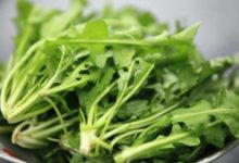 老公孩子們用眼疲勞,經常乾澀不適,這些食物要多吃有好處-頭條楓林網