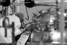 基因組編寫項目瞄準超安全細胞-頭條楓林網