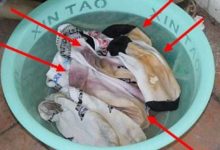 白衣白襪白鞋發黃千萬別扔，跟洗衣店師傅學了2招，洗完跟新買的一樣！-頭條楓林網