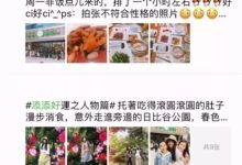 一位日本媽媽將廣東點心做得顏值爆表！娶了這個老婆每天都是驚喜！-頭條楓林網