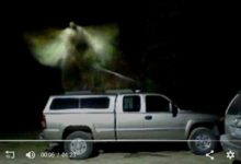 美監視器拍到有頭有翅膀的“天使”-頭條楓林網