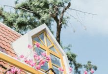 從清晨到黃昏，拍攝從不停止-頭條楓林網