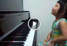 3歲女孩坐鋼琴前「咯咯笑」　大家微笑以為她會亂按…下一秒愣住超驚艷-頭條楓林網