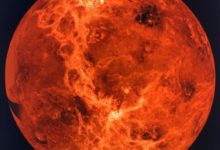 火星土壤中可能存在微生物，所以人類才不敢將其帶回地球？-頭條楓林網