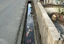 日本“與眾不同”的一組照片 值得中國人深思！-頭條楓林網